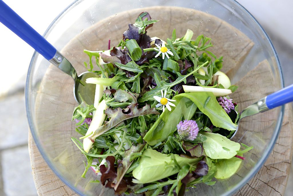 Petzis Garten und Küche: Waldivertler-Frühsommer-Salat